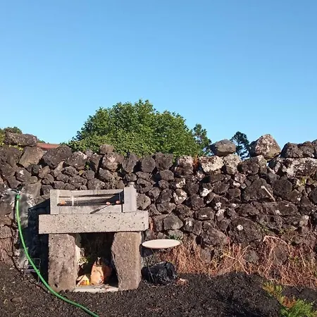 Casa de Férias Casa Da Ribeirinha *